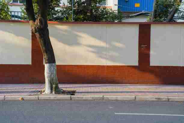 每日大赛×舆论场:专家级解析