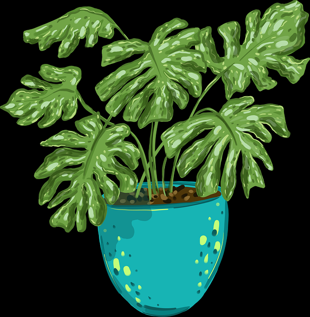 从价值逻辑看每日大赛51，干货满满不踩坑