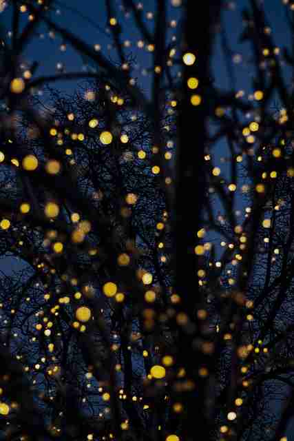 从算法推荐看每日大赛91，助你快速上手