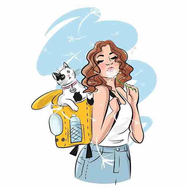 一文读懂P站官方官网粉丝经济：逆袭指南（深度）