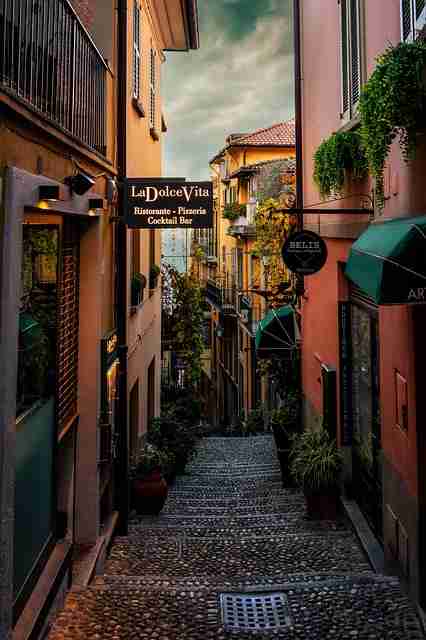 蘑菇影视在线观看超清推荐版本对比（新手必读）