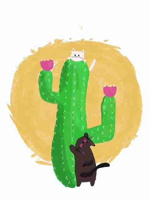 妻社app(专业评测):高能升级与高能亮点